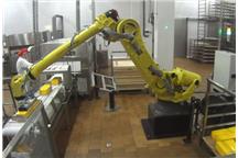 Roboty przemysłowe FANUC do znakowania