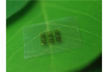 Drewniany chip elektroniczny Drewniany chip elektroniczny