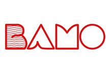 Pojemnościowe przetworniki poziomu: BAMO