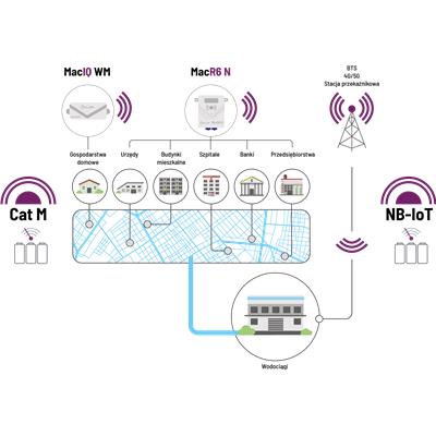 Technologia Cat-M1 i NB-loT PLUM.png