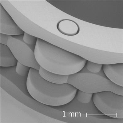 W pełni funkcjonalne, wydrukowane w 3D łożysko wałeczkowe, wydrukowane w systemie druku NanoOne © UpNano GmbH W pełni funkcjonalne, wydrukowane w 3D łożysko wałeczkowe, wydrukowane w systemie druku NanoOne © UpNano GmbH