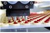 Nadchodzi Food Automation