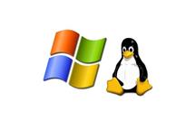 Windows i Linux w jednym zakładzie