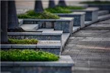 fot. pixabay.com