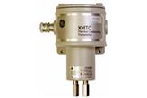 PANAMETRICS - XMTC Termokonduktometryczny Analizator Gazów / Wodoru PANAMETRICS - XMTC Termokonduktometryczny Analizator Gazów / Wodoru