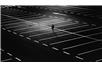 fot. pixabay