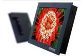 Monitory przemysłowe LCD serii EX150/170/190.