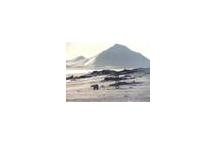 ASTOR sponsorem wyprawy na Spitsbergen