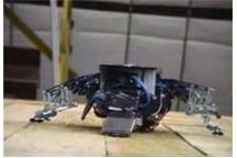 Robot chodzący po ścianie Robot chodzący po ścianie