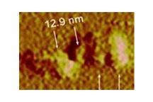Biologiczne nanosprężyny