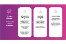 Zobacz jak wygląda proces AI Data Discovery?