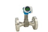 Przepływomierz wirowy Proline Prowirl R 200 - ENDRESS+HAUSER
