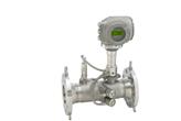 Przepływomierz ultradźwiękowy Proline Prosonic Flow G 300 - ENDRESS+HAUSER