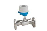 Przepływomierz ultradźwiękowy Proline Prosonic Flow E 100 - ENDRESS+HAUSER
