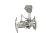 Przepływomierz ultradźwiękowy Proline Prosonic FlowG 500 - ENDRESS+HAUSER