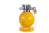Pojemnik źródła izotopowego FQG62 - ENDRESS+HAUSER