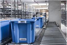 8W6A0813-Poprawione-Szum.jpg