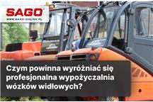 Czym powinna wyróżniać się profesjonalna wypożyczalnia wózków widłowych?