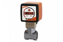 Przepływomierz -/sygnalizator łopatkowy DPT-..K