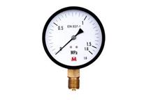 Manometr standardowy MI 100S/213/1,6 Manometr standardowy MI 100S/213/1,6