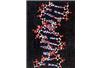Nanoczujnik do wykrywania DNA