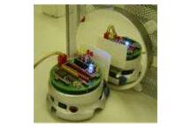Samoświadomy Robot