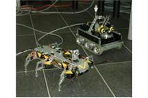 Zapowiedź. Międzynarodowe Zawody Sumo Robotów i Festiwal Robotów CybAiRBot 2006.