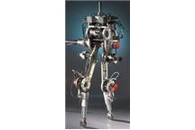 RABBIT - chodzący robot