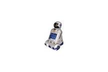 Roboty pod strzechy