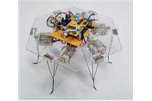 Robot uciekający przed światłem Robot uciekający przed światłem