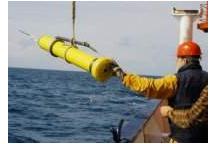 Roboty przeszukają „białe plamy” w oceanach