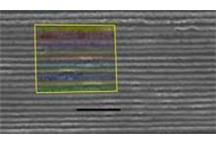 Sensor chroniący przed biologicznymi atakami terrorystycznymi Sensor chroniący przed biologicznymi atakami terrorystycznymi