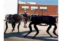 Autonomiczne roboty na polu walki. Eksperci alarmują. Autonomiczne roboty na polu walki. Eksperci alarmują.