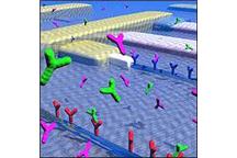 BAE Systems przejmuje technologię nanoczujników Micromem