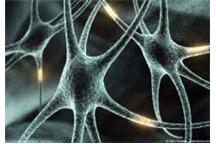 Nowoczesny sposób na połączenie mózgu z elektronicznymi implantami Nowoczesny sposób na połączenie mózgu z elektronicznymi implantami