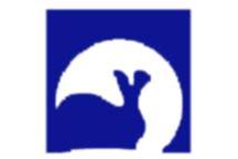 RABBIT - ISO, 5 lat gwarancji i nowa strona WWW
