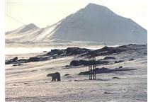 ASTOR sponsorem wyprawy na Spitsbergen