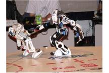 Robo One - japońskie walki robotów