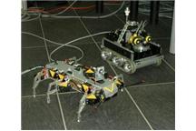Międzynarodowe Zawody Sumo Robotów i Festiwal Robotów CybAiRBot 2006