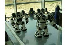 Międzynarodowe Zawody Sumo Robotów i Festiwal Robotów CybAiRBot 2006