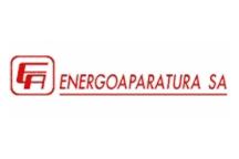 NWZA Energoaparatury zdecydowało o dalszym istnieniu spółki