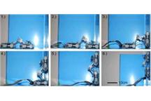 Robot gekon [video]