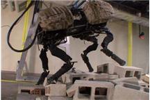 Superszybki robot gepard