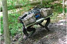 Superszybki robot gepard