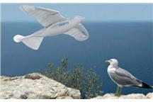 Niesamowita mechaniczna mewa Festo SmartBird [video]
