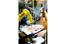 Robot Fanuc