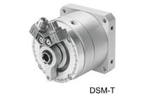 DSM-T