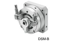 DSM-B