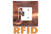 Paszporty RFID zagrożone