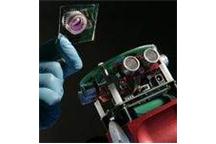 Robot z biologicznym mózgiem Robot z biologicznym mózgiem